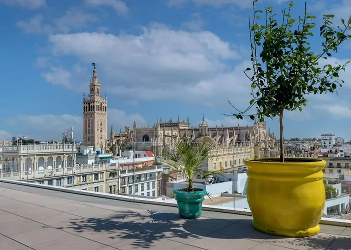 Querencia de Sevilla, Autograph Collection